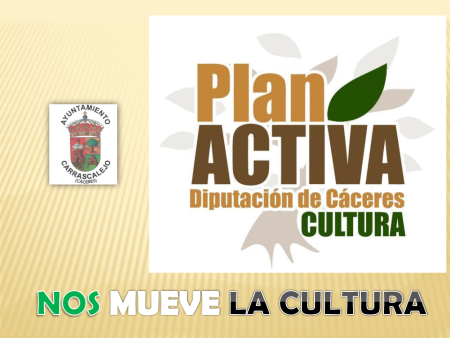 Campeonato Futbol Plan Activa